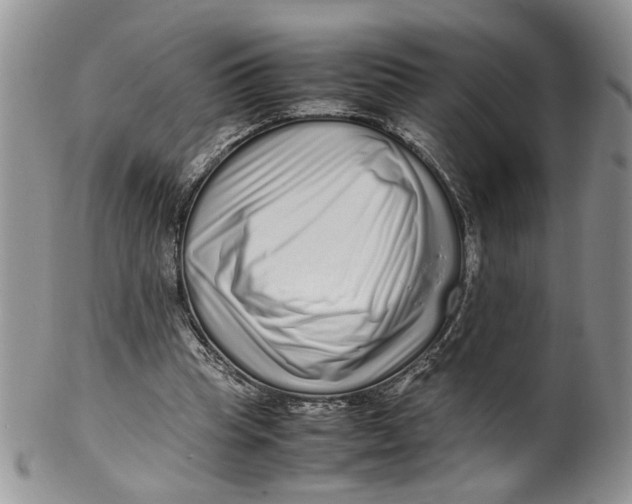 X0000099940345200806131430