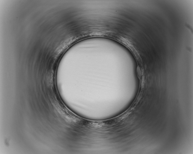 X0000099940346200806131430