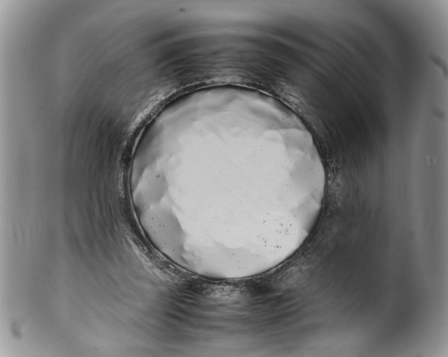 X0000099940347200806131430