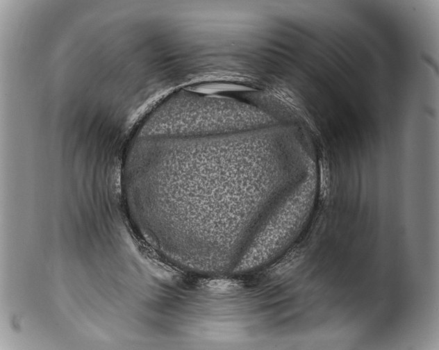 X0000099940348200806131430