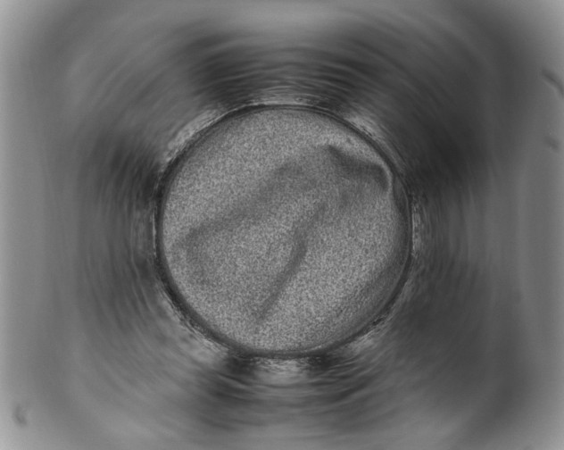 X0000099940349200806131430