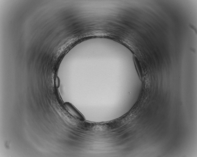 X0000099940350200806131430