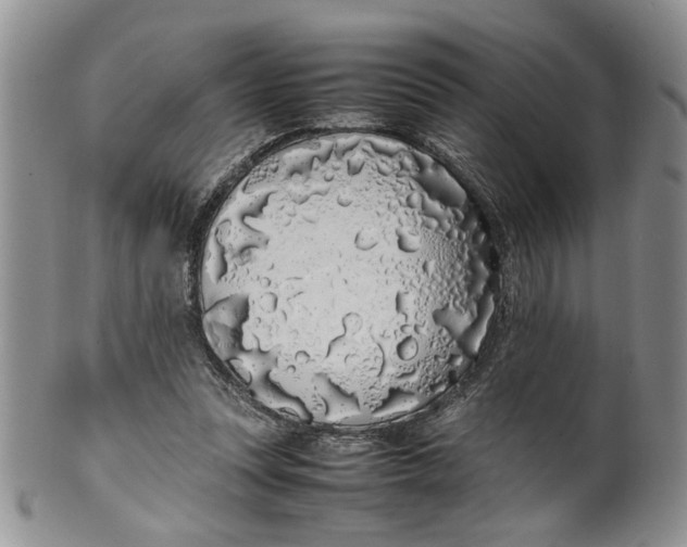 X0000099940351200806131430