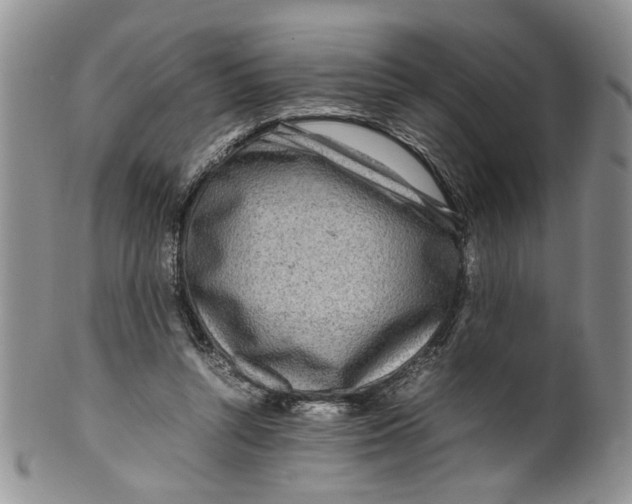 X0000099940352200806131430