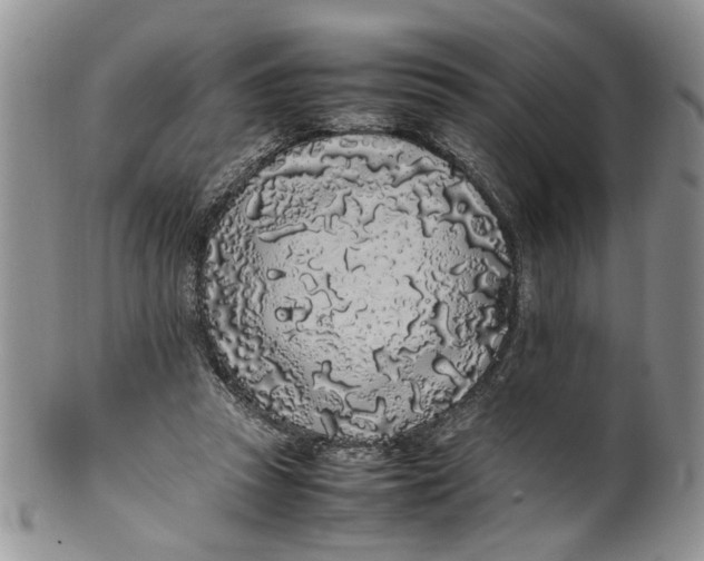 X0000099940353200806131430