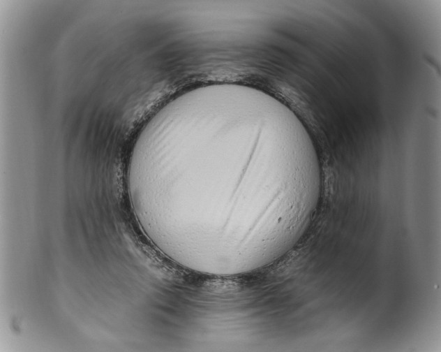 X0000099940354200806131430