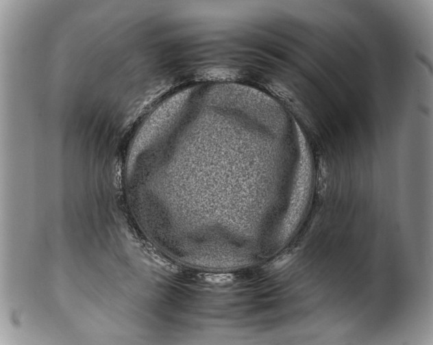 X0000099940355200806131430