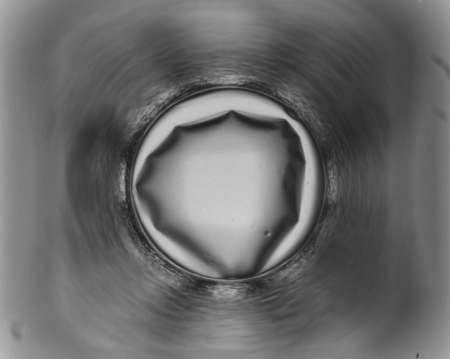 X0000099940358200806131430