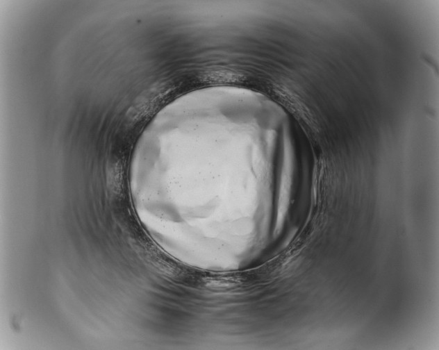 X0000099940359200806131430