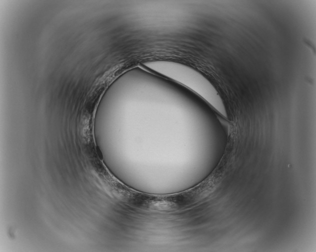 X0000099940360200806131430