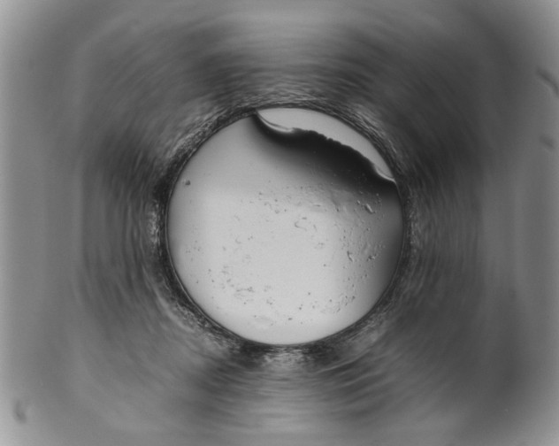 X0000099940362200806131430