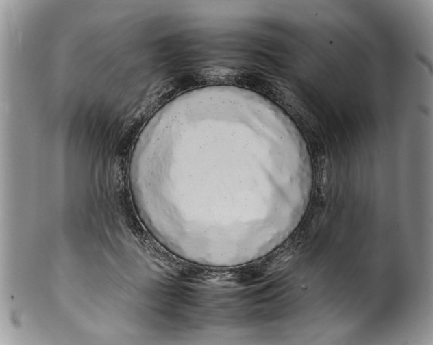 X0000099940363200806131430