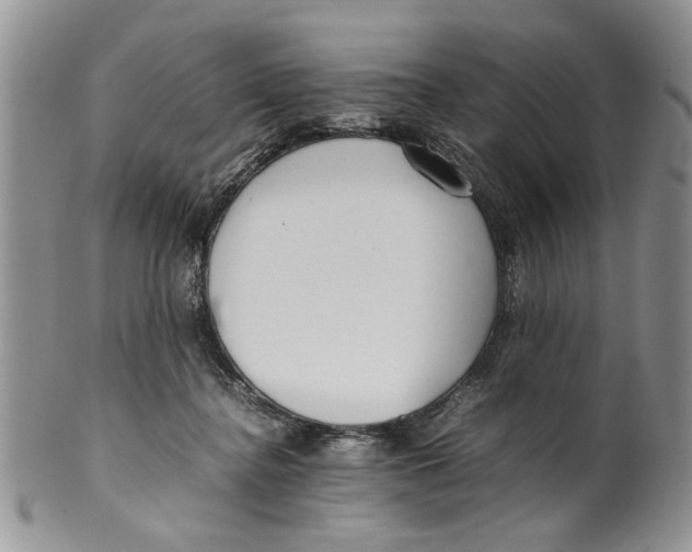 X0000099940364200806131430