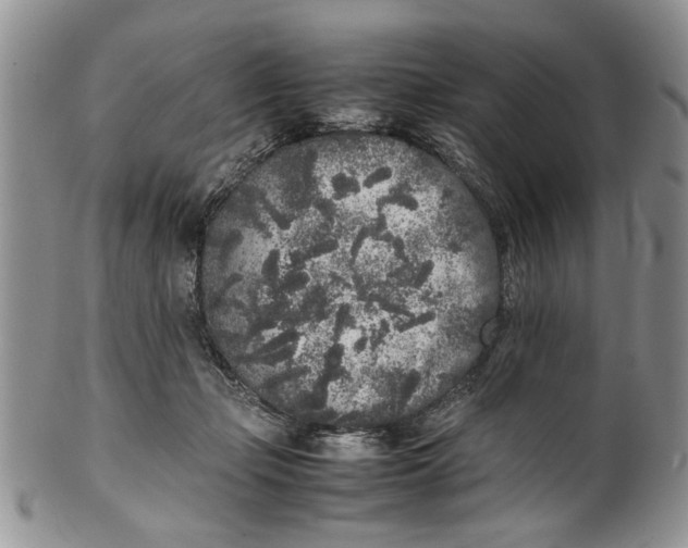 X0000099940365200806131430