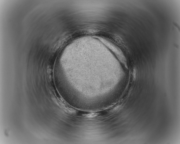 X0000099940366200806131430