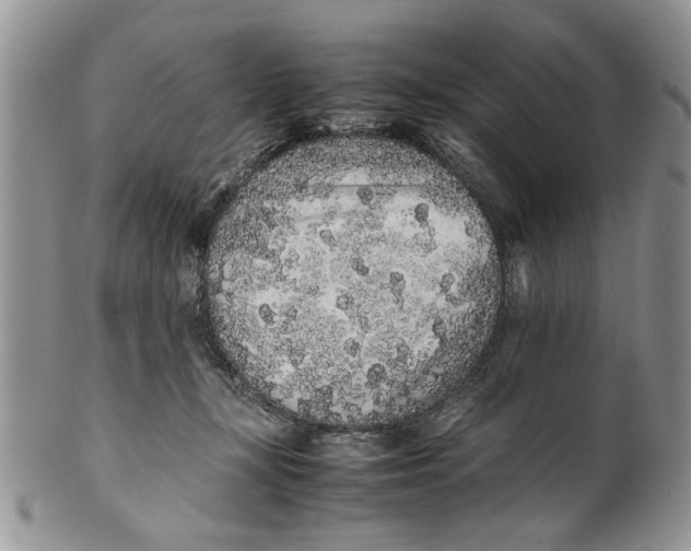 X0000099940367200806131430