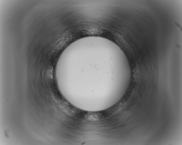 X0000099940368200806131430