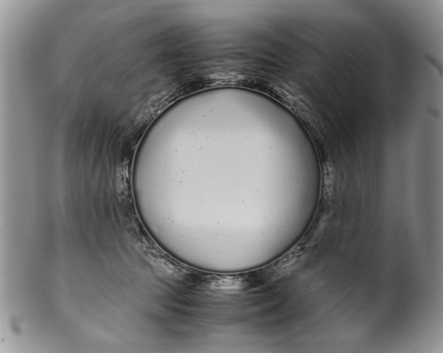 X0000099940369200806131431