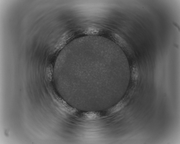 X0000099940370200806131431