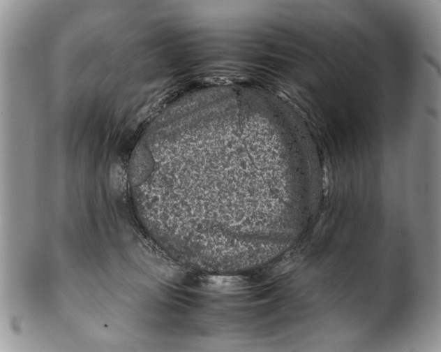 X0000099940371200806131431