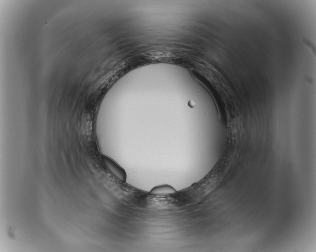 X0000099940372200806131431