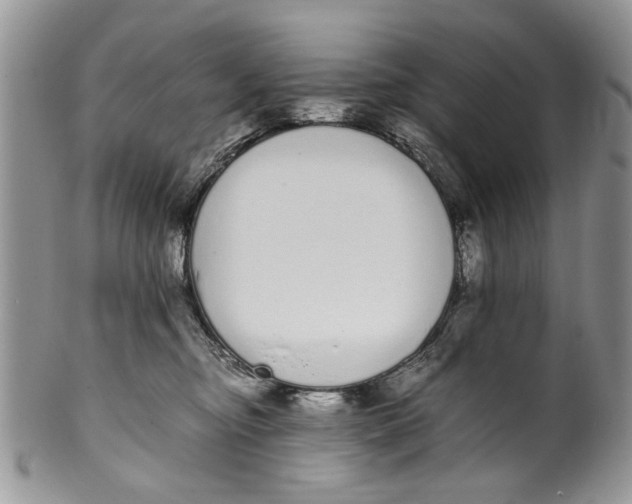 X0000099940374200806131431