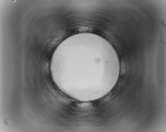 X0000099940375200806131431