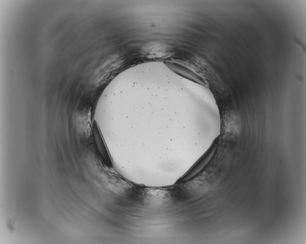 X0000099940376200806131431