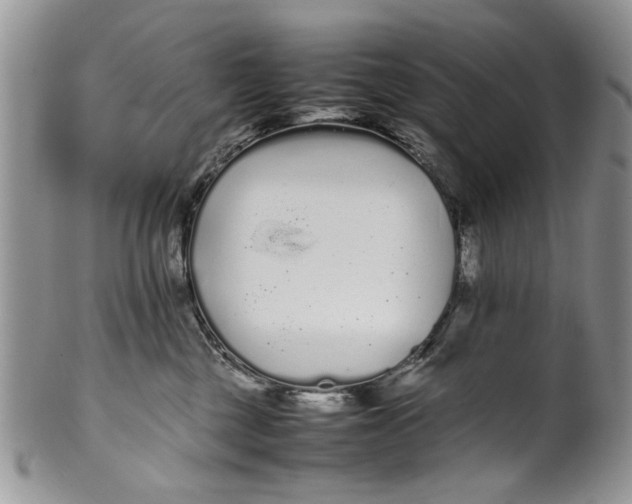 X0000099940377200806131431