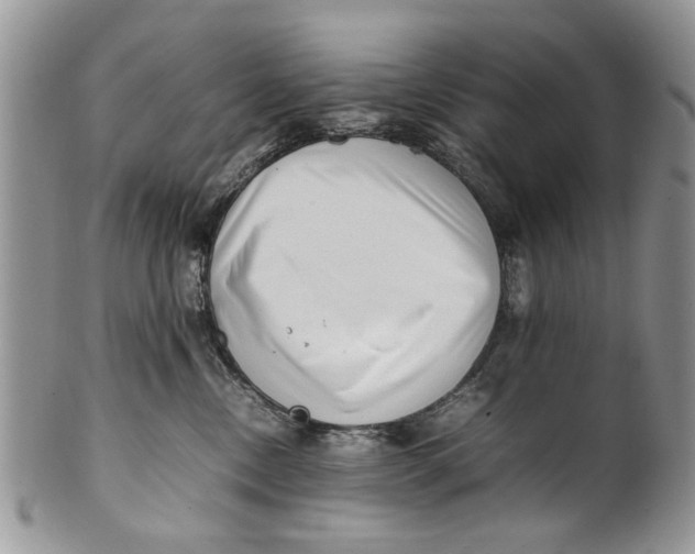 X0000099940378200806131431