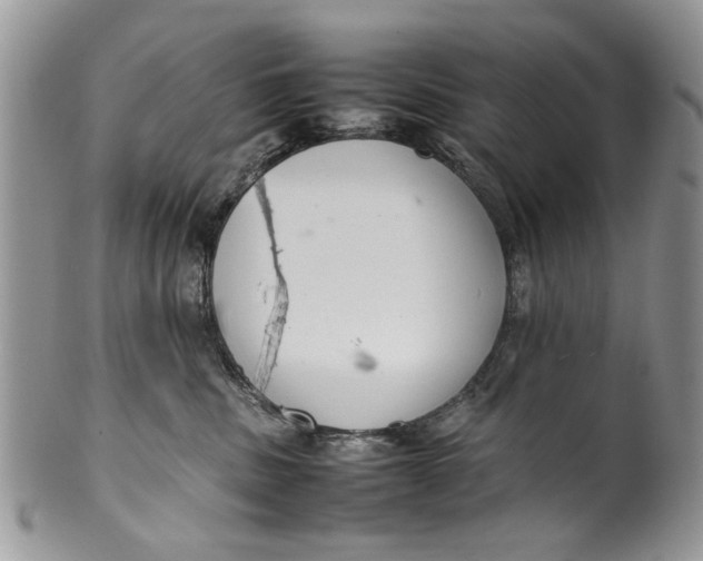 X0000099940379200806131431