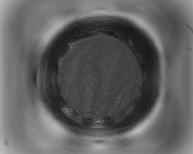 X0000099940382200806131431