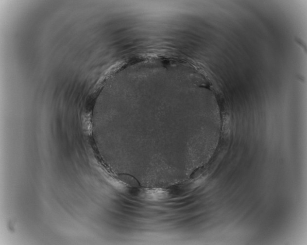 X0000099940383200806131431