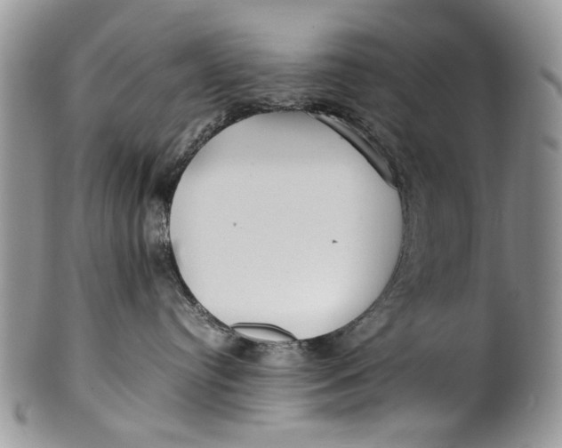 X0000099940384200806131431