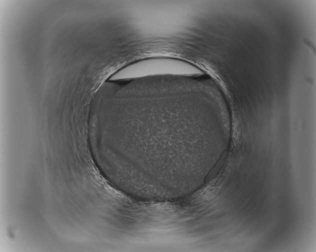 X0000099940385200806131430