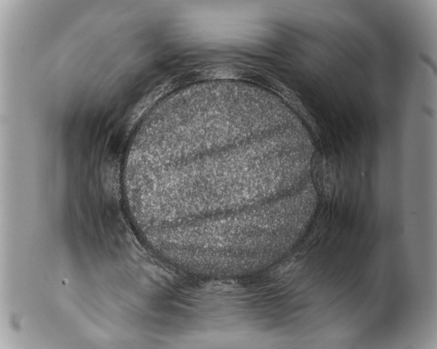 X0000099940386200806131430