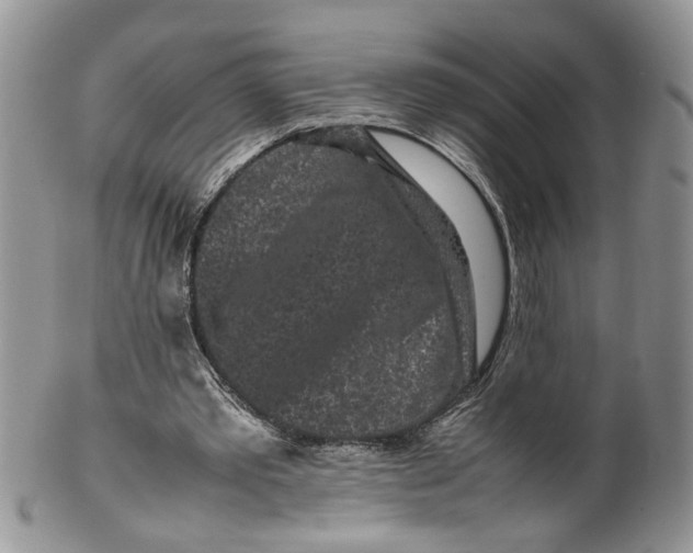 X0000099940389200806131430