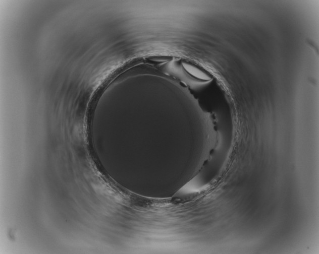 X0000099940391200806131430