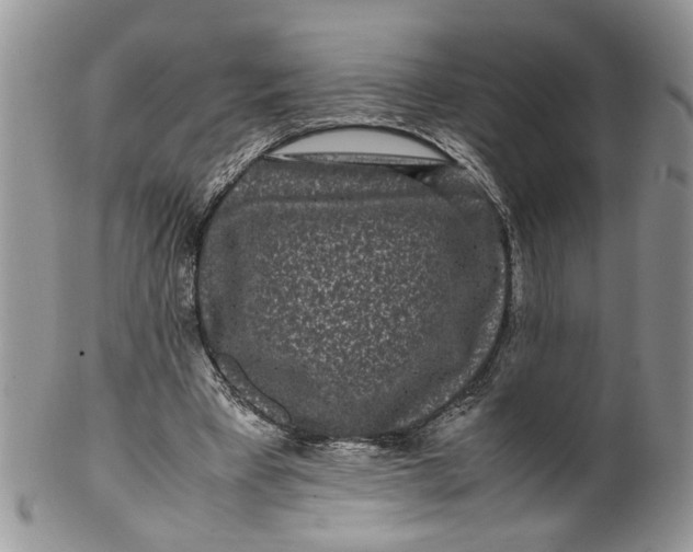 X0000099940393200806131430