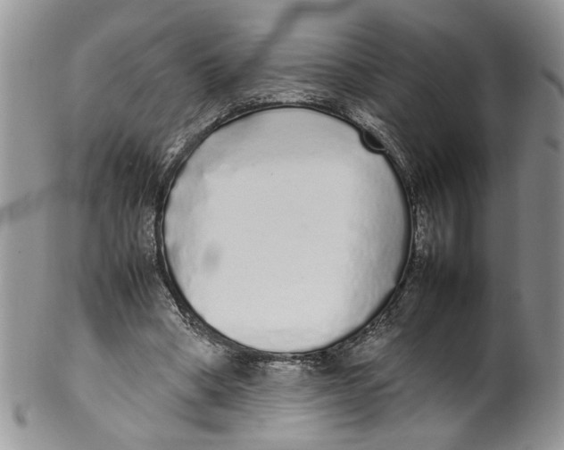 X0000099940394200806131430