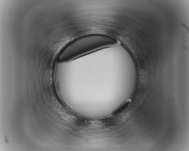 X0000099940395200806131430