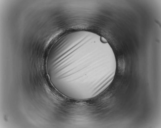 X0000099940396200806131430