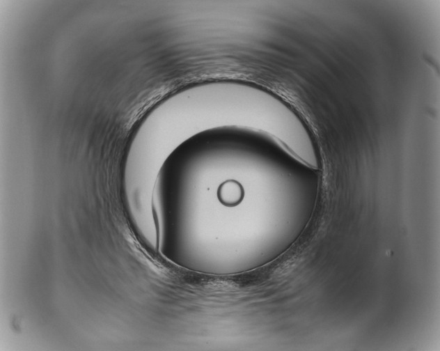 X0000099940397200806131430