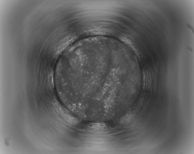 X0000099940398200806131430