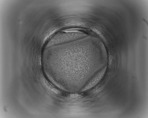 X0000099940399200806131430