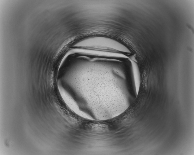 X0000099940400200806131430