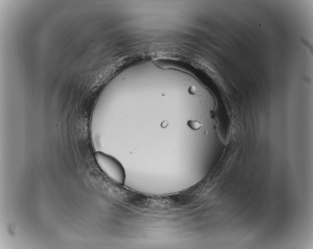 X0000099940401200806131430