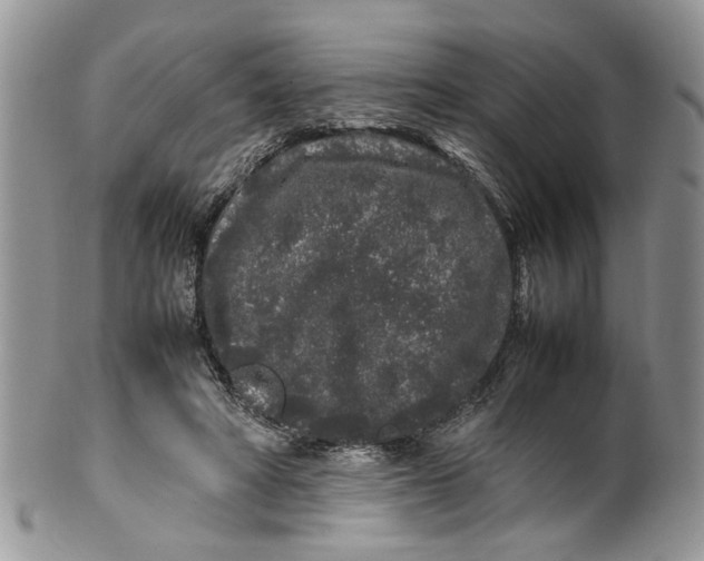 X0000099940402200806131430