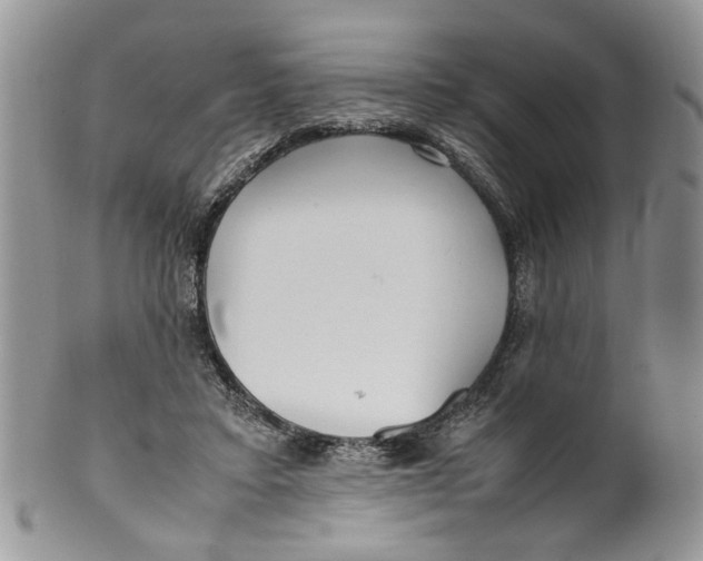 X0000099940403200806131430