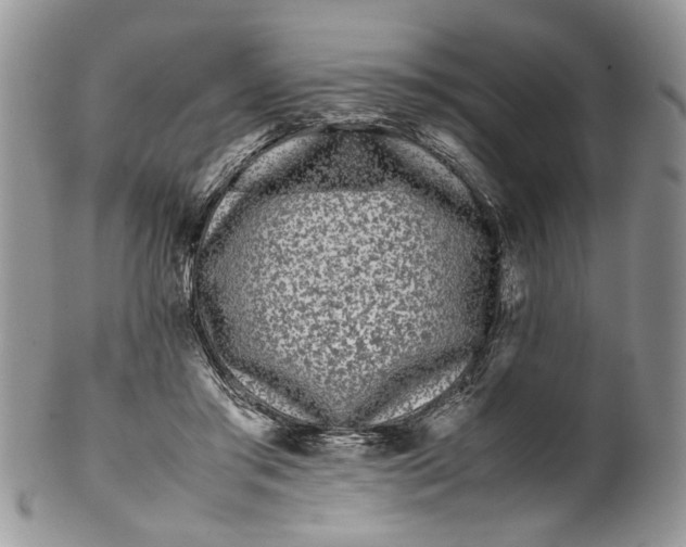 X0000099940405200806131430